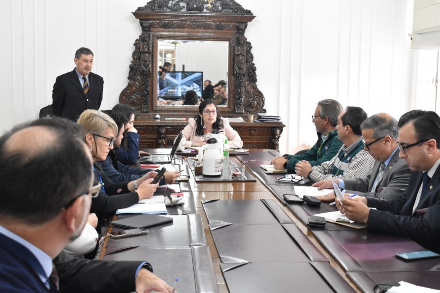 Magallanes es prioridad en mejora de pasos fronterizos
