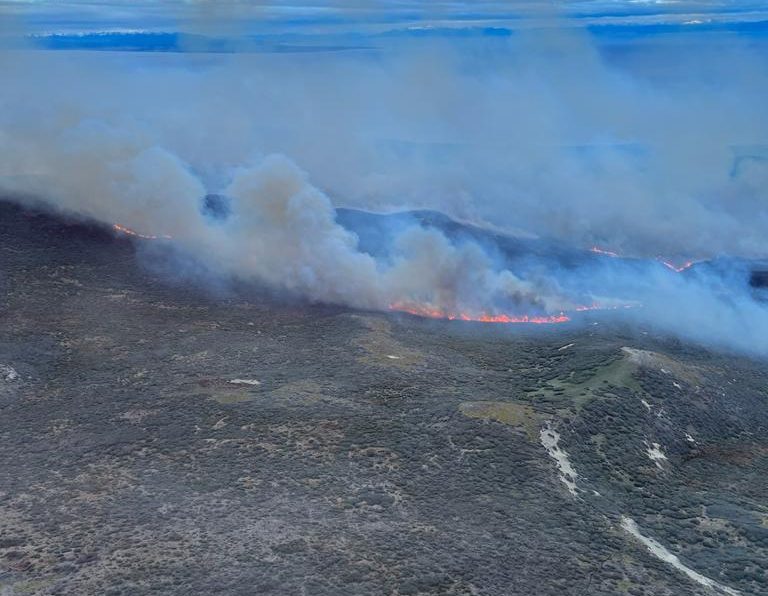 150 brigadistas y personal de apoyo trabaja en la contención de incendio en la estancia Las Mercedes, Tierra del Fuego 