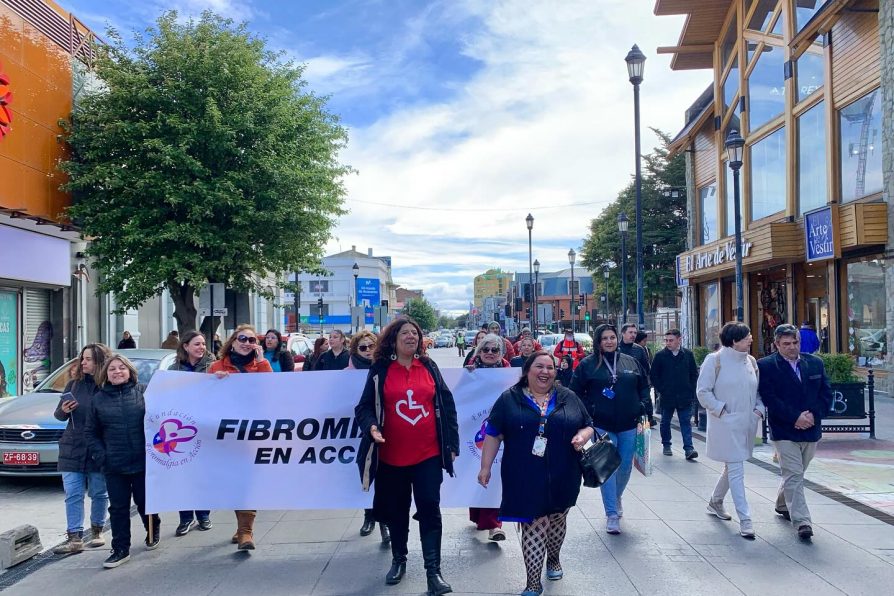 En Punta Arenas se realizó una caminata para conmemorar el Día Internacional de las personas con Discapacidad