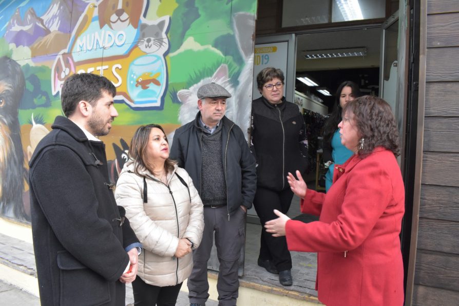 Fachadas del centro de Punta Arenas lucirán renovado rostro