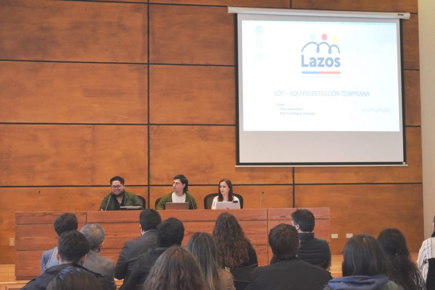 Resultados del Programa Lazos: presentación a la comunidad de Punta Arenas