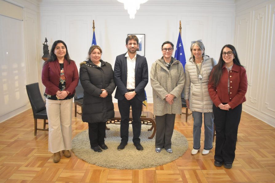 Reunión entre asociación gremial Austro Chile, Delegación Presidencial y Seremi de Seguridad abordó desafíos de seguridad y coordinación para el turístico