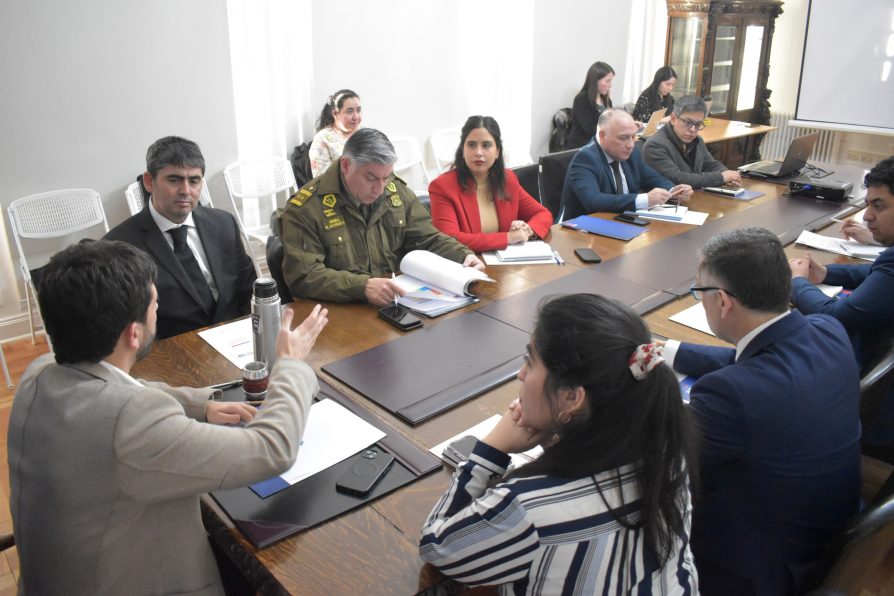 Drogas y Delitos Sexuales son priorizados por el Consejo Regional de Seguridad Pública y Prevención del Delito