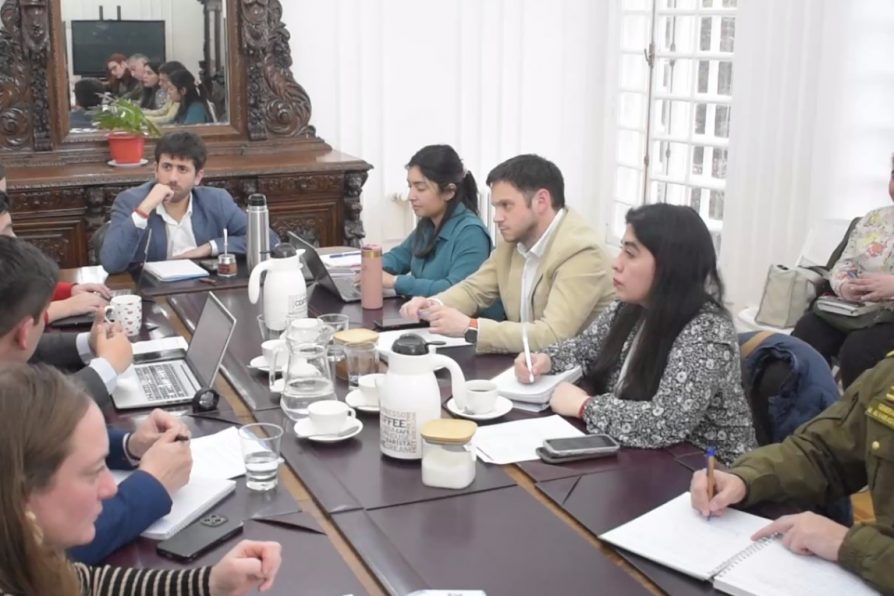 Gobierno aborda con urgencia violento incidente entre estudiantes en Punta Arenas.