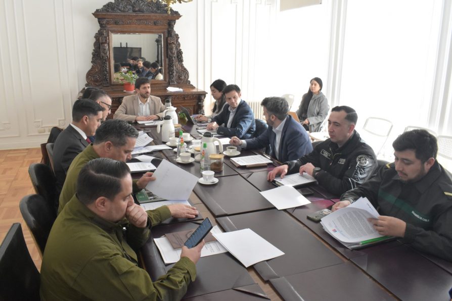 Magallanes celebró con responsabilidad: autoridades destacan bajo número de incidentes en balance post Fiestas Patrias