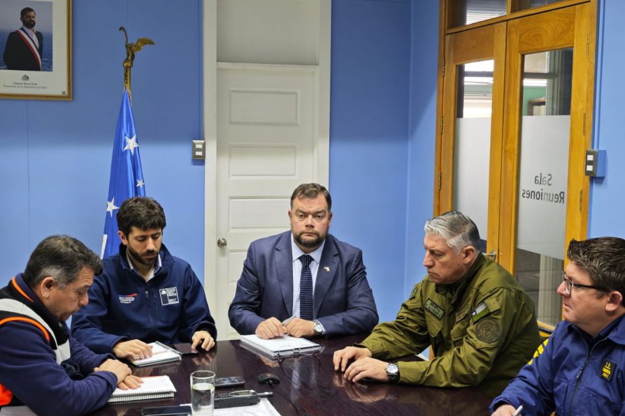 Autoridades inician evacuación de los cinco cuerpos desde sector Perros en Torres del Paine