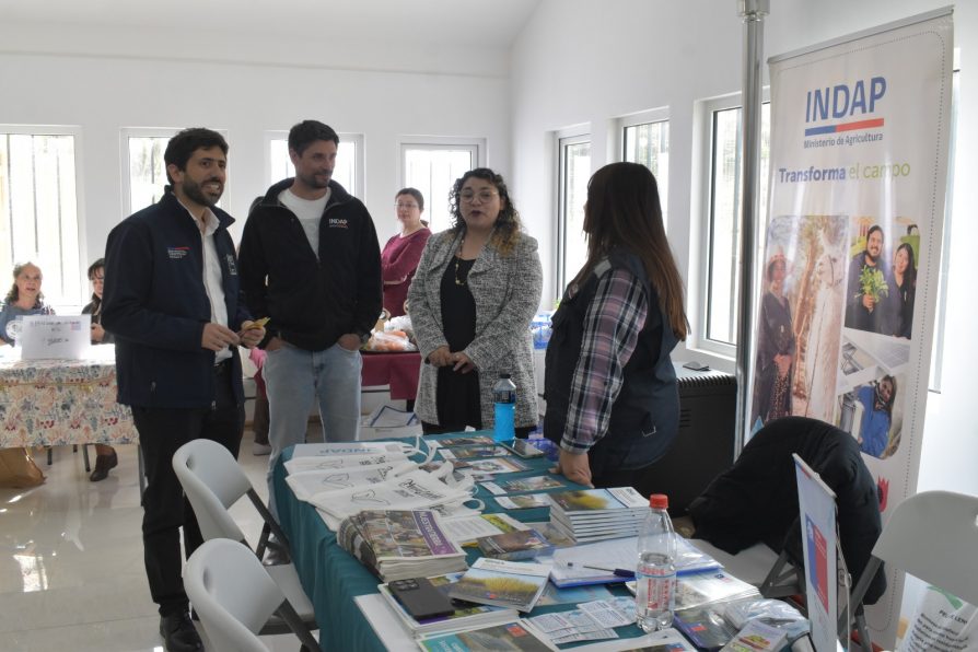En la Junta de Vecinos “Los Sueños del Andino” de Punta Arenas se realizó una nueva Plaza Ciudadana del Programa Gobierno en Terreno