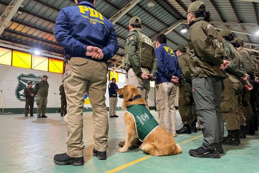 Operativo nacional deja casi tres mil detenidos: 53 capturas en Magallanes