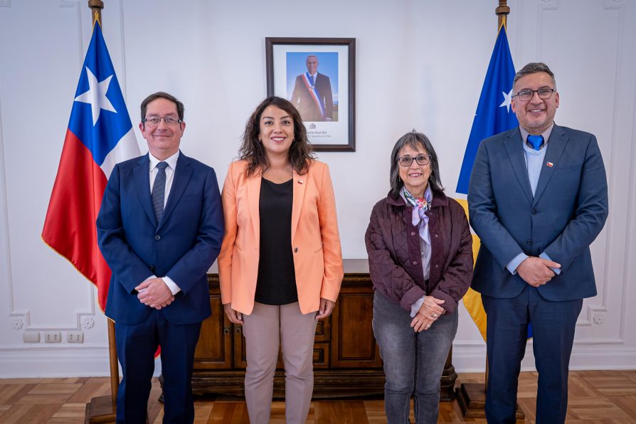 Delegada Presidencial Regional Ericka Farías recibe a nuevos Delegados Provinciales de Magallanes