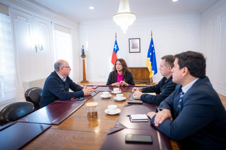 Magallanes avanza en control de pasajeros: autoridades coordinan implementación de nueva ley para detectar prófugos