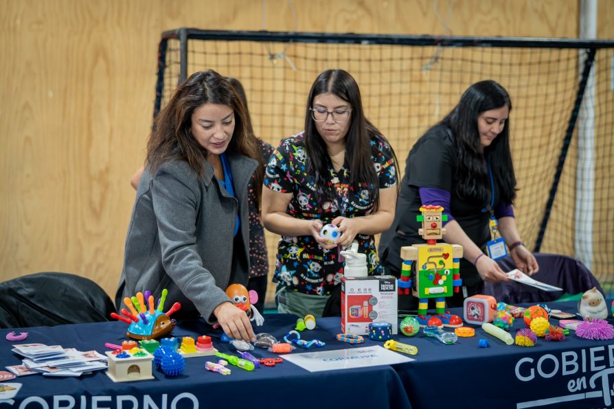 Jornada de concientización sobre el autismo marca nuevo Gobierno en Terreno en Punta Arenas