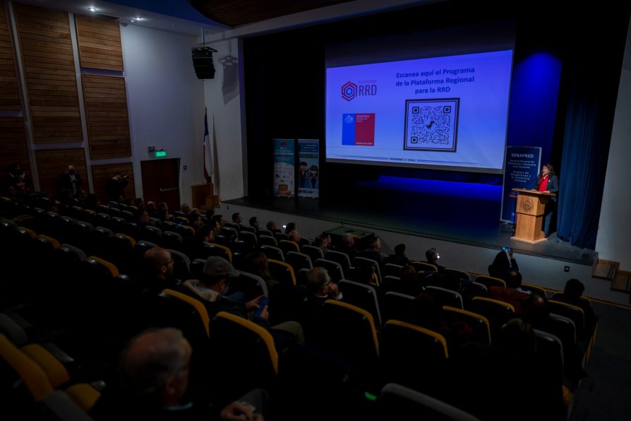 Plataforma Regional para la Reducción del Riesgo de Desastres sesiona en Magallanes y refuerza coordinación ante temporada invernal