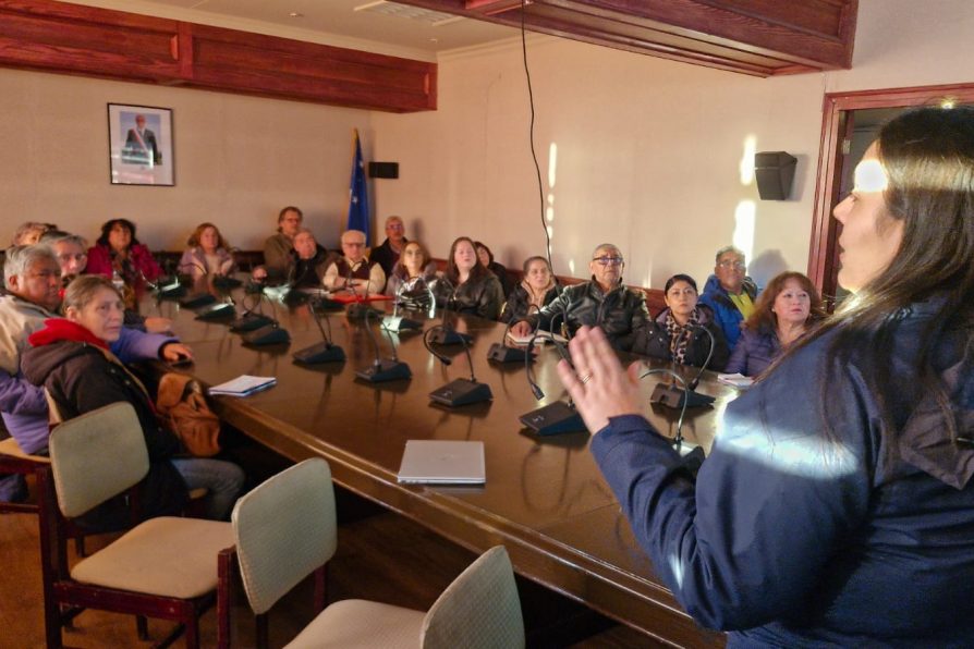 Delegación Presidencial y organismos técnicos se unen en jornada “Invierno Seguro” para prevenir accidentes por monóxido de carbono y congelamiento de cañerías.