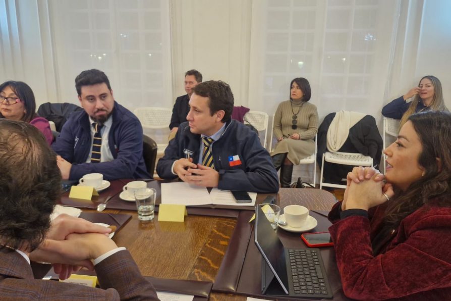 Con la presencia del Subsecretario del Trabajo, autoridades amplían la Mesa por el Empleo en Magallanes e incorporan al Gobierno Regional, Cores y Municipios