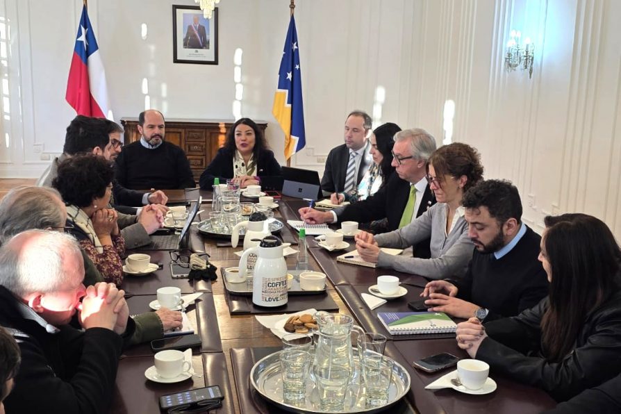 Mesa por el Empleo en Magallanes avanza en su tercera sesión integrando a los gremios productivos en el plan de reactivación laboral
