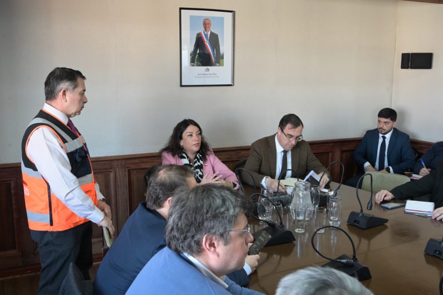 COGRID Regional coordina estrategia estival 2026-2027 y revisa proyectos preventivos para Magallanes