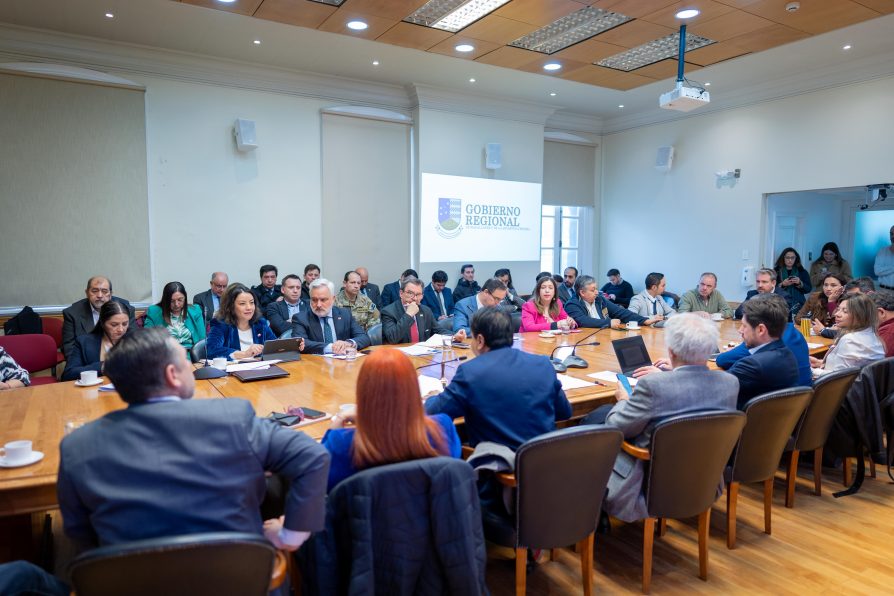Con la participación del Ministro de Defensa: comisión de Zonas Extremas extendió su sesión por más de tres horas en intensa jornada de trabajo regional